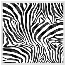 Zebra animal print (Picture Frame) White | S