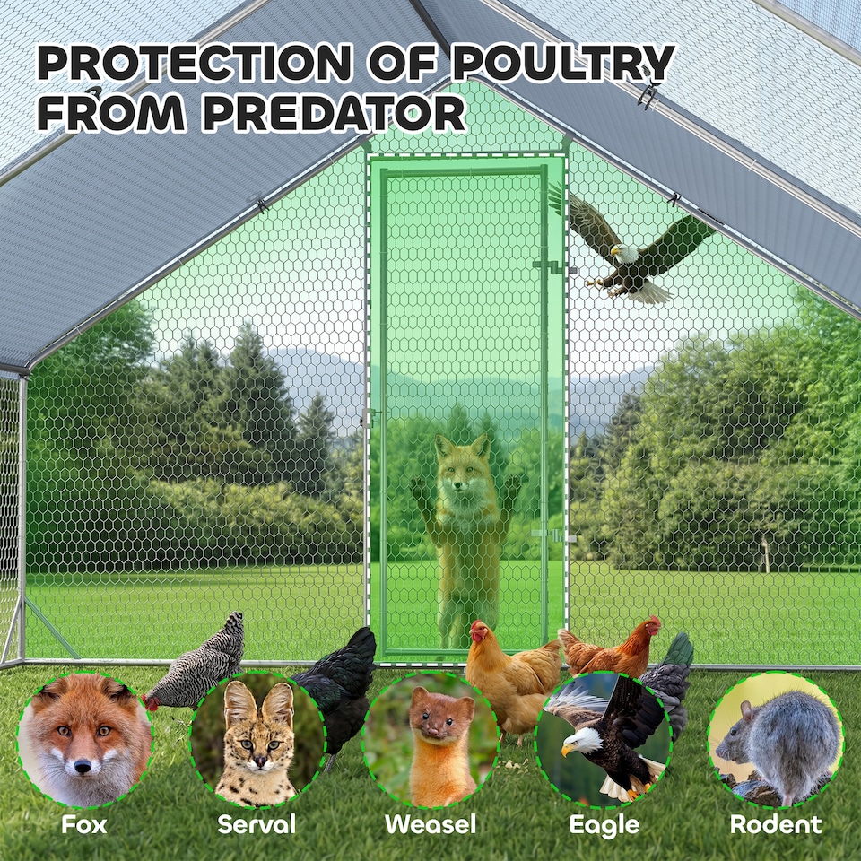 image 1 of PawHut Walk In Chicken Run Large galvanised Chicken Coop w/ Cover 3 x 8 x 2m | Silver | Silver