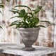 image 1 of Olympia Plant Pot N/A
