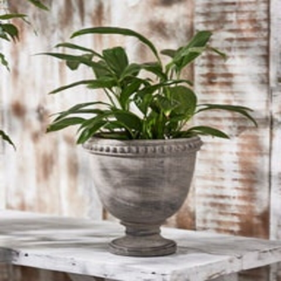 image 1 of Olympia Plant Pot N/A