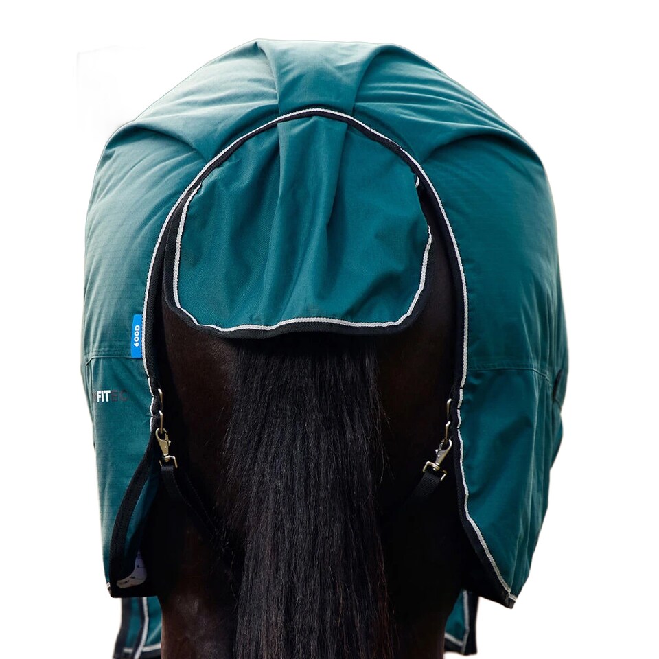 image 1 of Weatherbeeta Comfitec Classic Standard-Neck 50g Horse Turnout Rug | Green | Forest Green/Black | 5Ft | 1