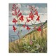 image 3 of Red Wildflowers On Hunt Cliff Yorkshire Black Framed Wall Art Print A4
