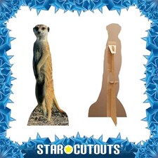 Meerkat Star Mini Cardboard Cutout 98cm