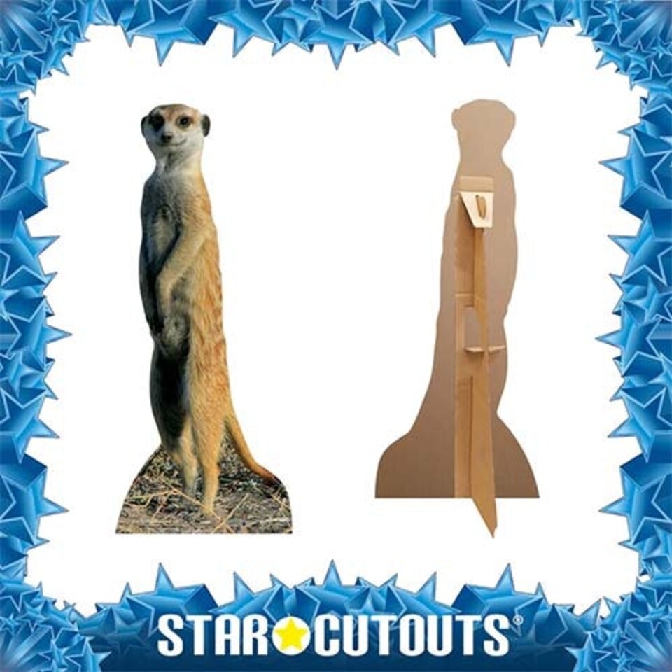 Meerkat Star Mini Cardboard Cutout 98cm