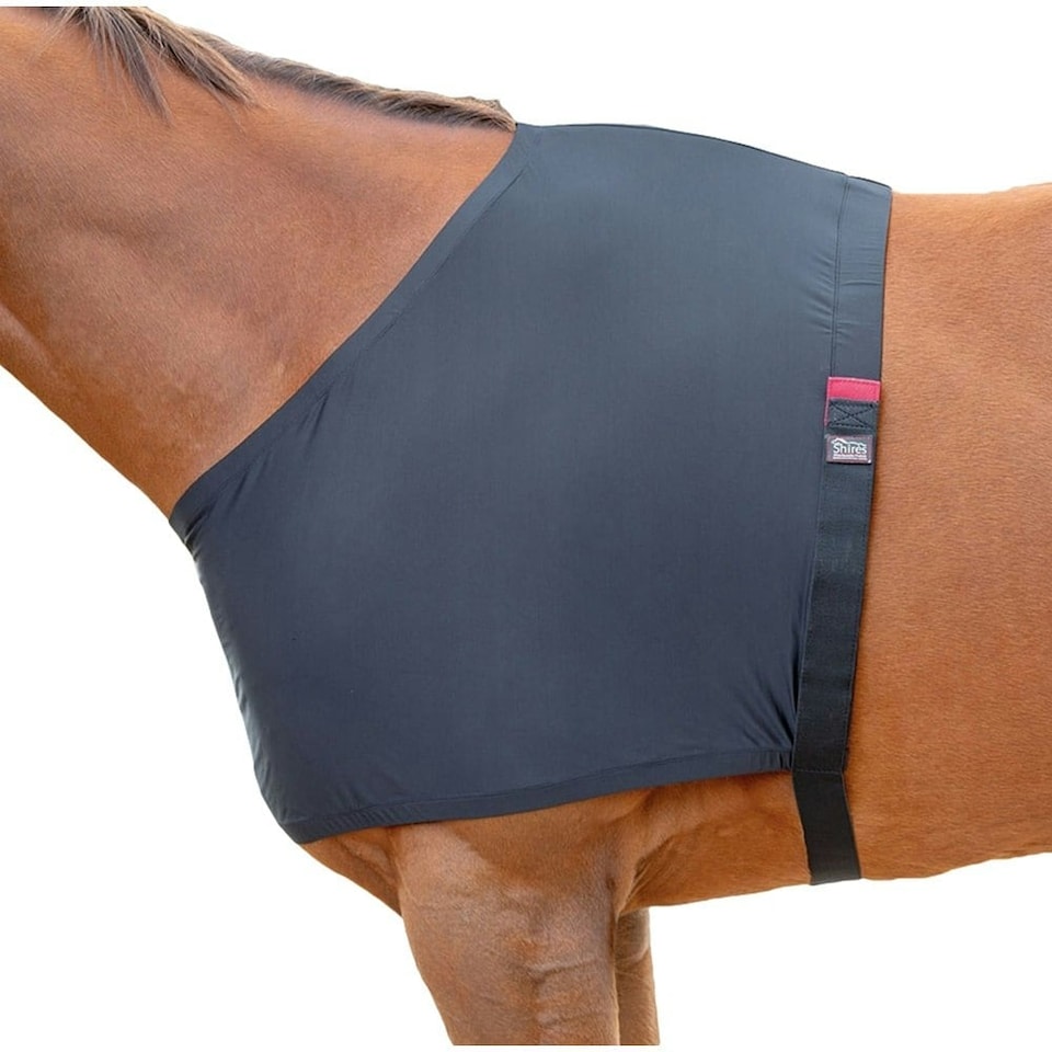 image 1 of Shires Stretch Anti-Rub Horse Vest - Black - Cob