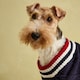image 6 of Joules Dawson Medium Navy Dog Jumper