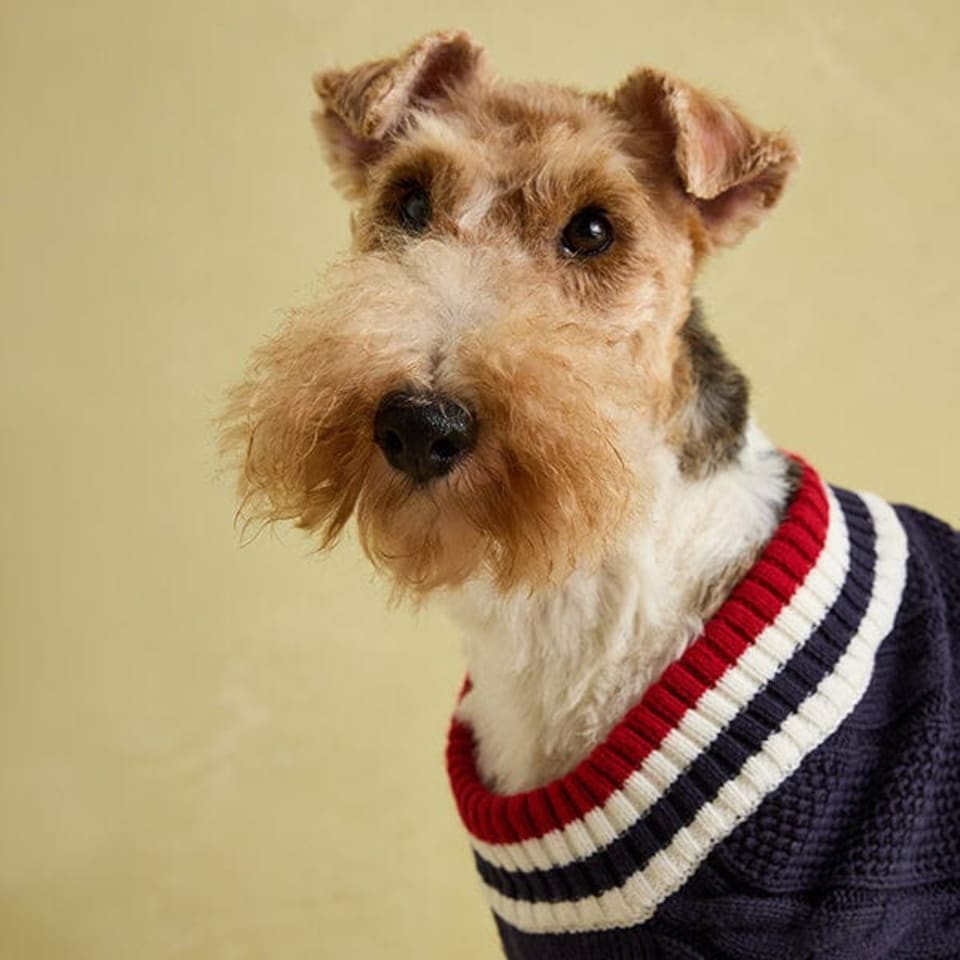 image 1 of Joules Dawson Medium Navy Dog Jumper