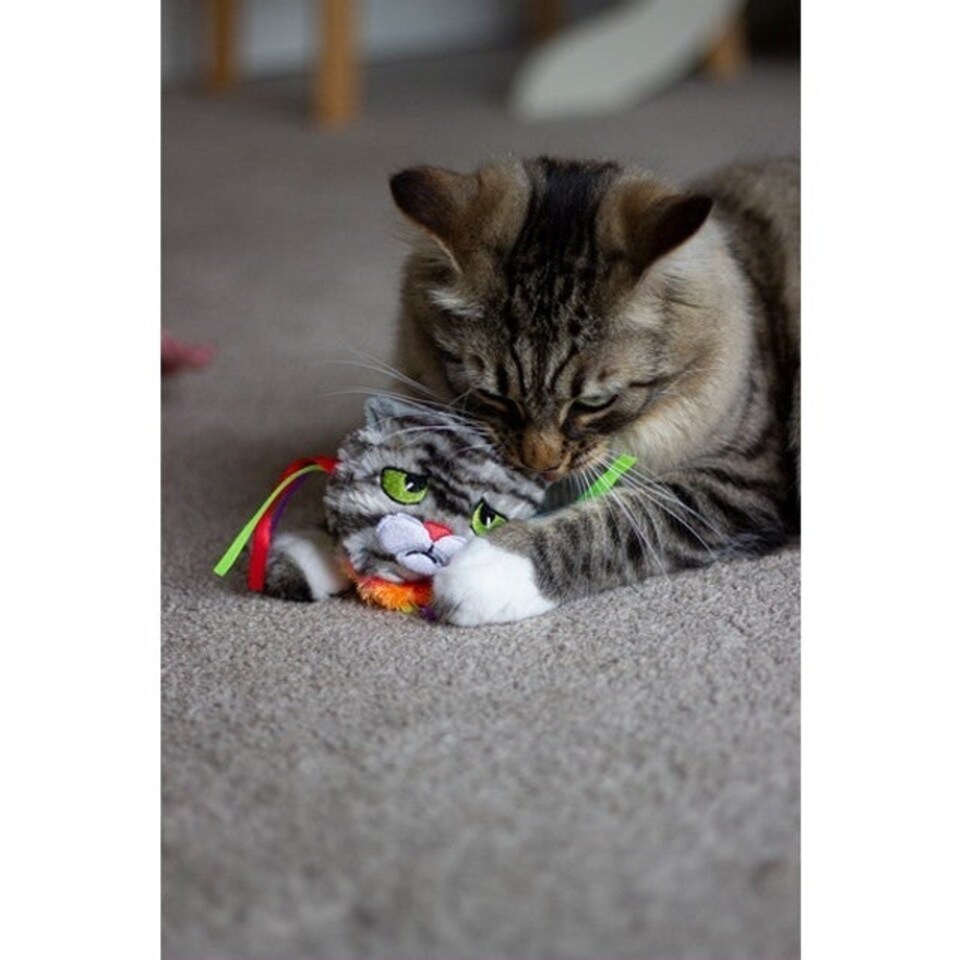 image 1 of Rosewood Moody Moggy Rainbow Grab Toy