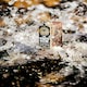 image 2 of Dr Squid Gin  Pocketful of Stones Cornish Distillery 70cl