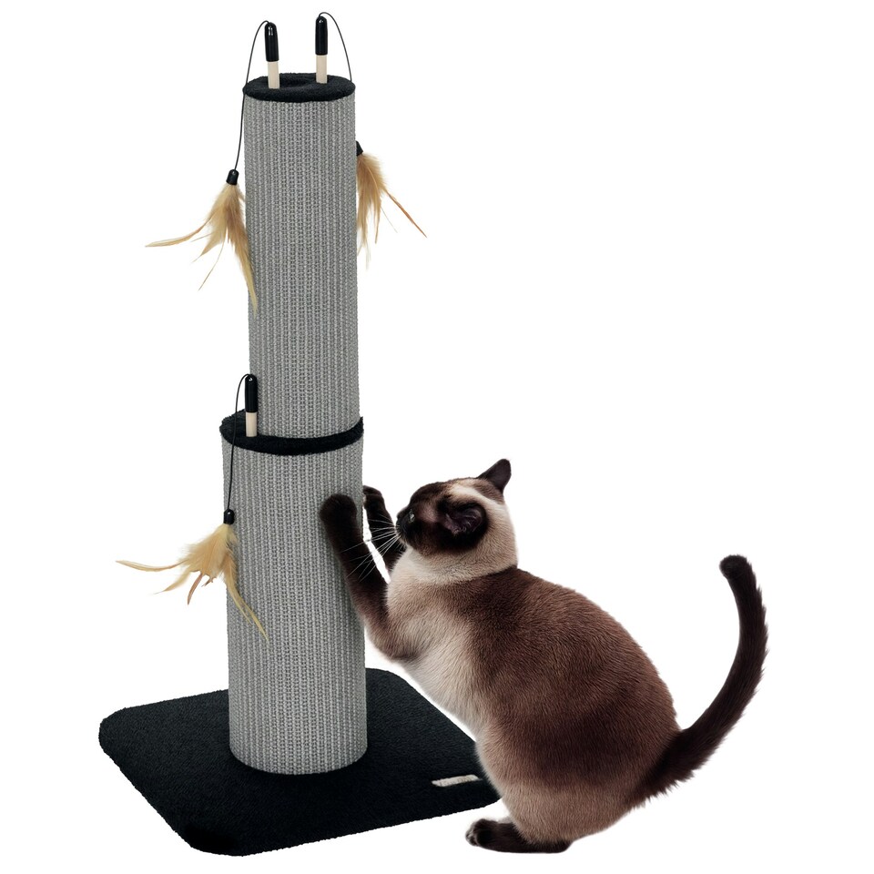 image 1 of PawHut Cat Scratch Post 2-in-1 with 3 Toy Feathers, 78cm Tall, Black