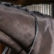 image 10 of LeMieux Rubber Reins Silver | Pony