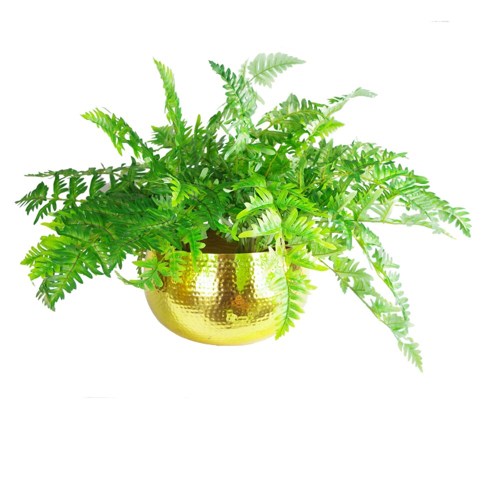 image 1 of Large Metal Planter Straight Edge Hammered Metal Planter GOLD XL Botanik Gold