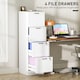 image 3 of HOMCOM 4 Drawer File Cabinet with Lock, Vertical Filing Cabinet with Adjustable Hanging Bars for A4 and Letter Size File Folders, Printer Stand with Storage, White | White | White
