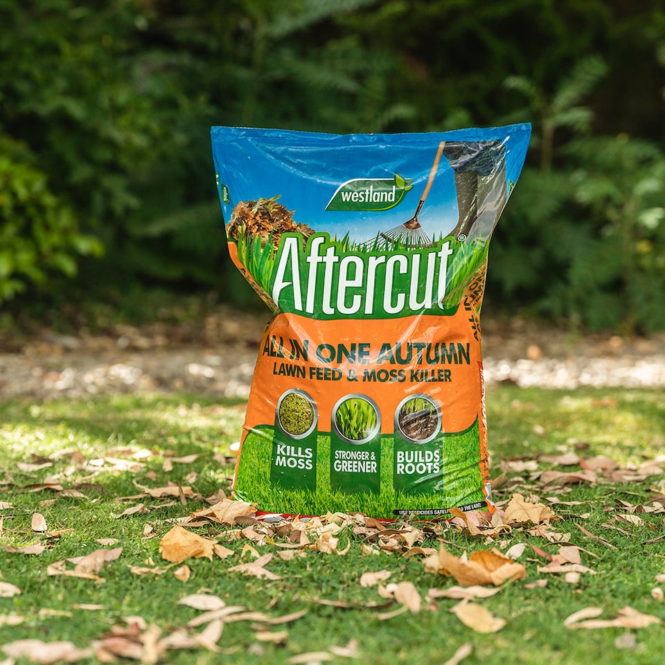 image 1 of Aftercut All-in-One Autumn Lawn Feed and Moss Killer 0.1 kg