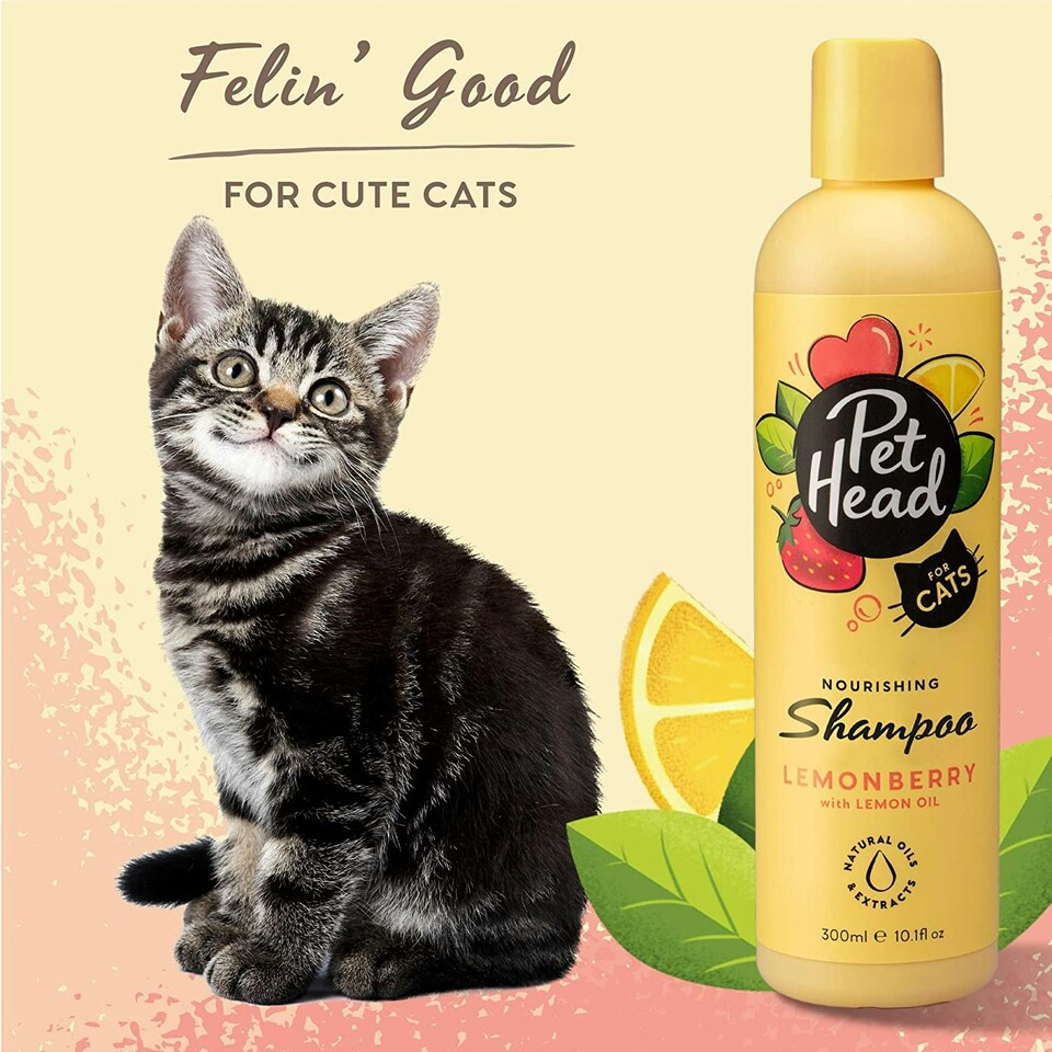 image 1 of Pet Head Felin' Good N/A | Size: Foam