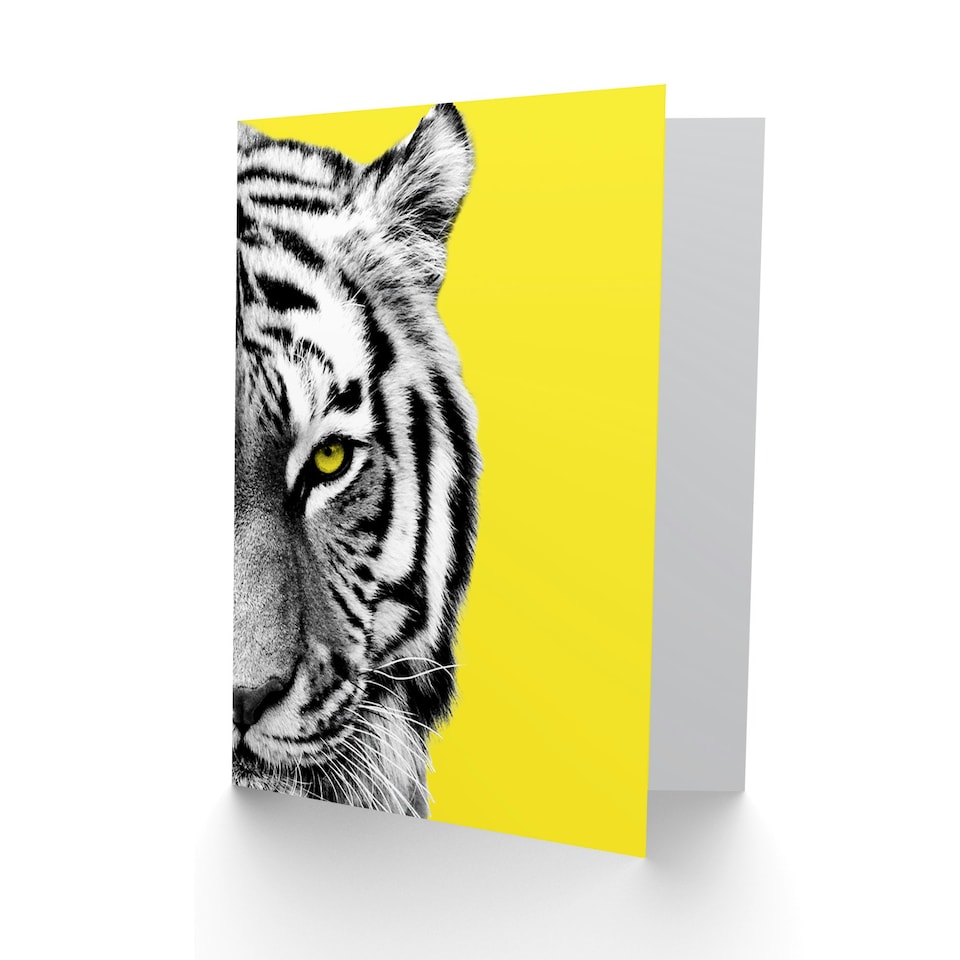 image 1 of Close Up Beasties Tiger Art Blank Just to Say Card