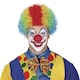 image 1 of Fiestas Guirca Curly Clown Wig | Multi | Multicoloured | One Size | 1