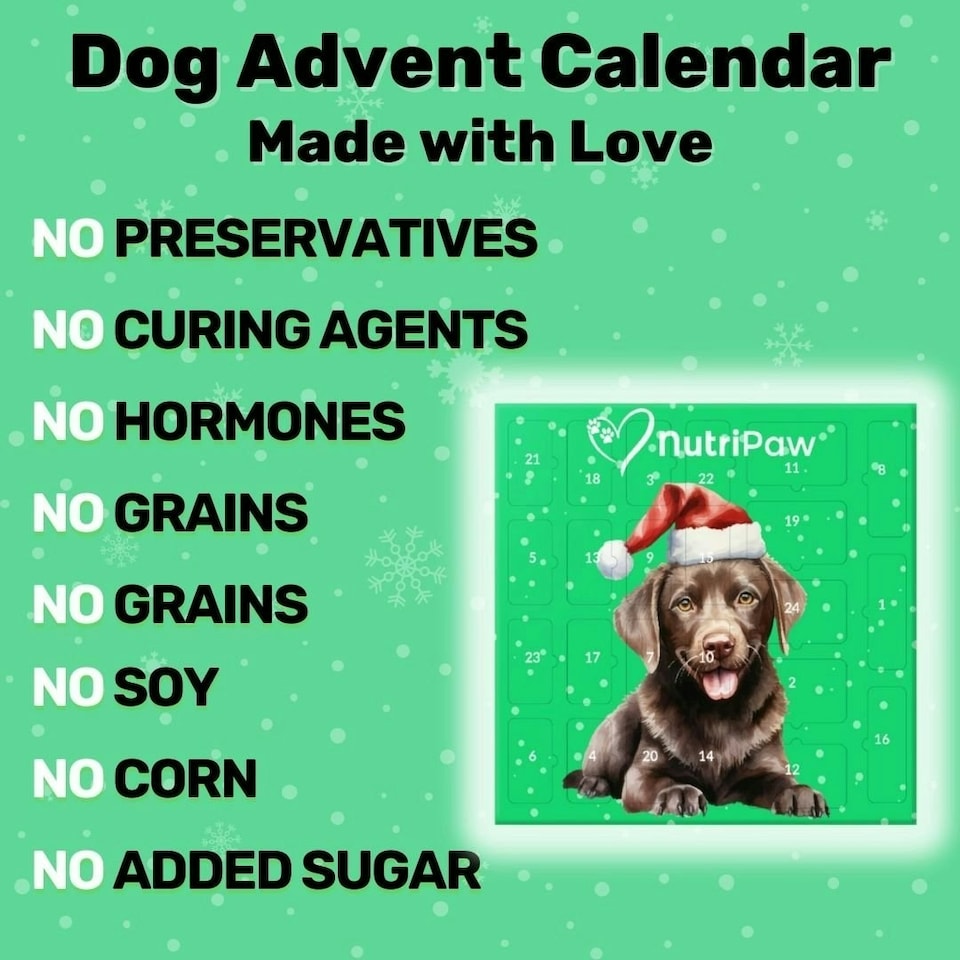 image 1 of Dog Advent Calendar