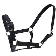 Roma Horse Headcollar And Leadrope | Black | Black | One Size | 1
