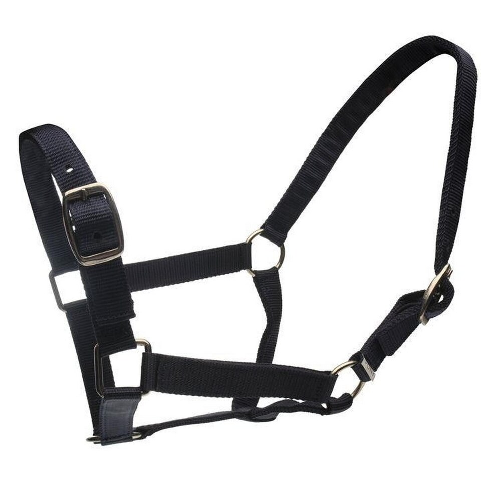 image 1 of Roma Horse Headcollar And Leadrope | Black | Black | One Size | 1