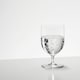 image 6 of Riedel Sommeliers Water Glass
