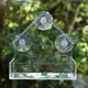 image 2 of Hanging Window Wild Bird Feeder Table Clear Viewing Perspex 3 Suction Pads 1pk