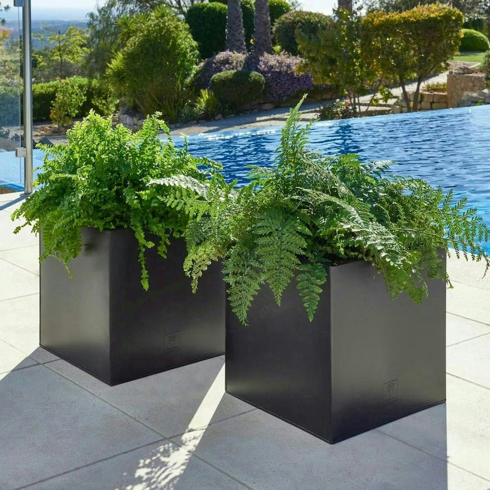 image 1 of Primrose Zinc Galvanised Outdoor Black Cube Ornamental Planter Extra Large 50cm