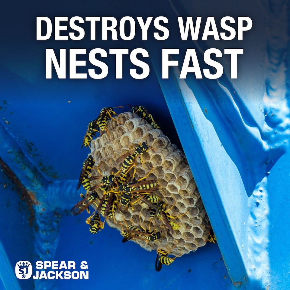 image 1 of Spear & Jackson Wasp & Nest Destroyer 600ml