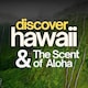 image 4 of Na Pali Handcrafted Candle | Aromatherapy | SANDALWOOD & AMBER