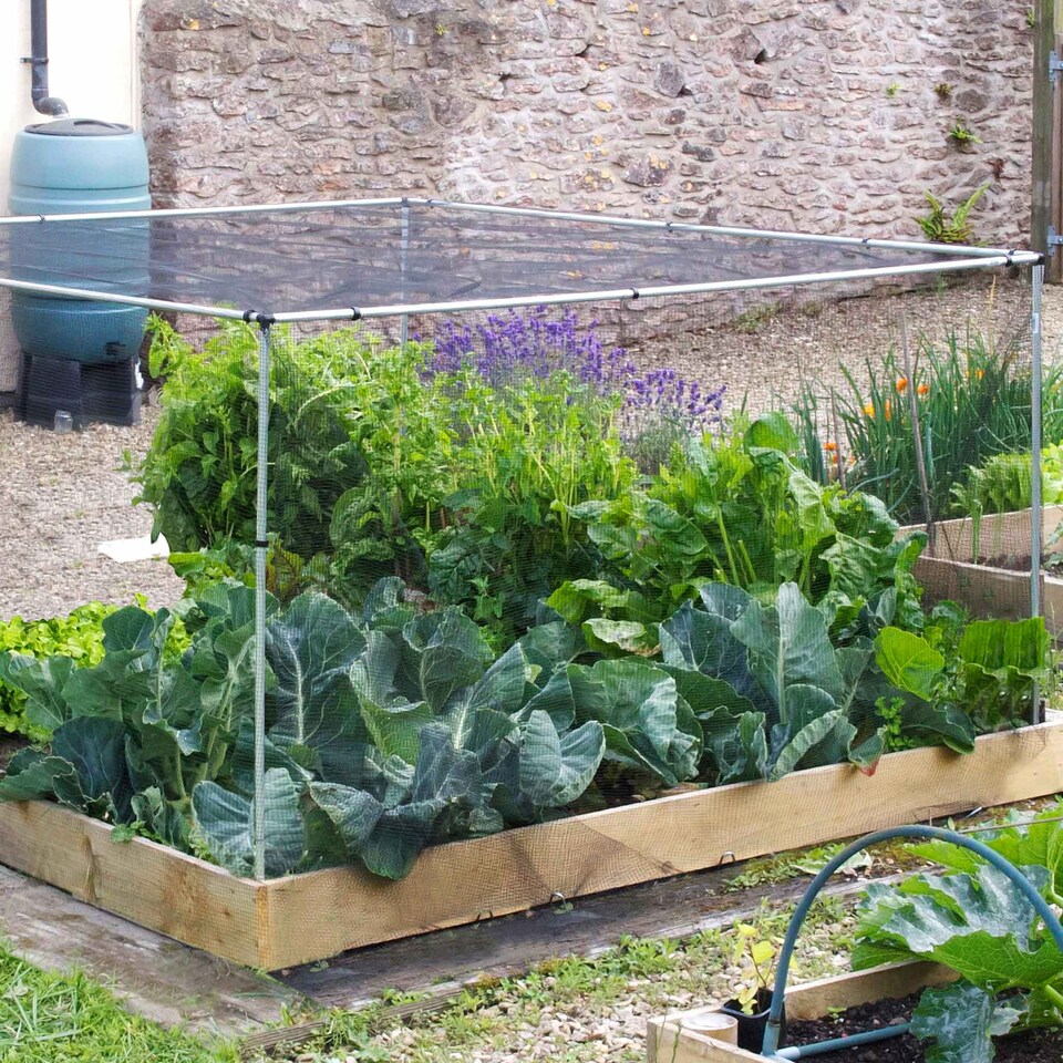 image 1 of Marshalls Garden 4 x 4 ft Vegetable Cage Starter Kit Aluminium Frame & Pest Netting