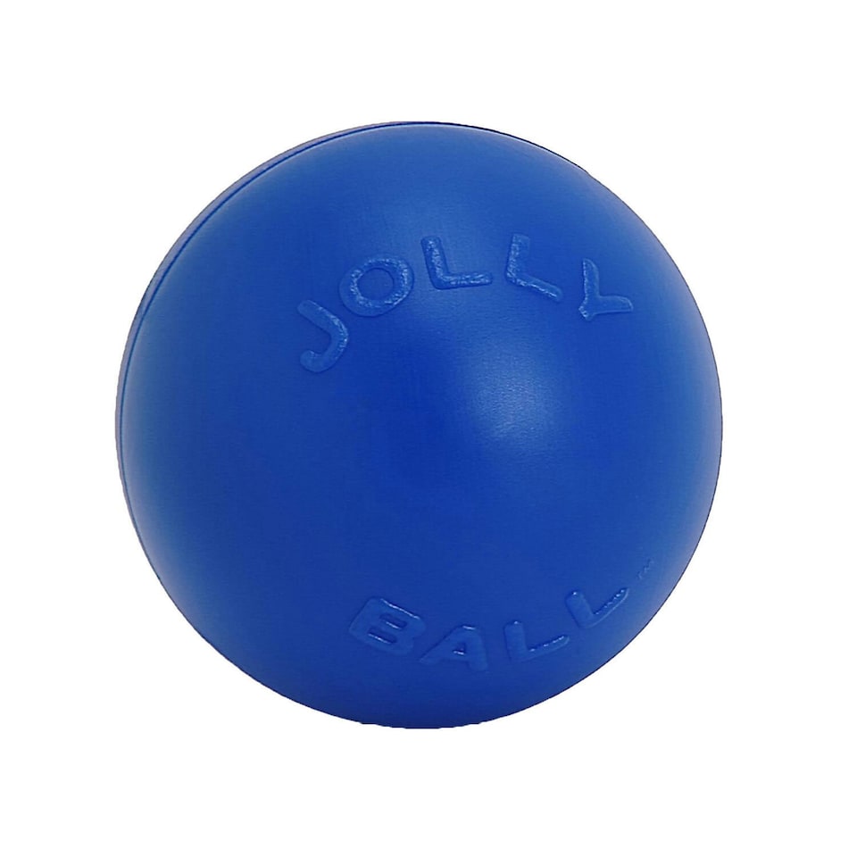Jolly Pets Push-N-Play Dog Ball - Blue - 4.5in