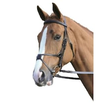 Aviemore Mexican Leather Horse Bridle - Havana - Full