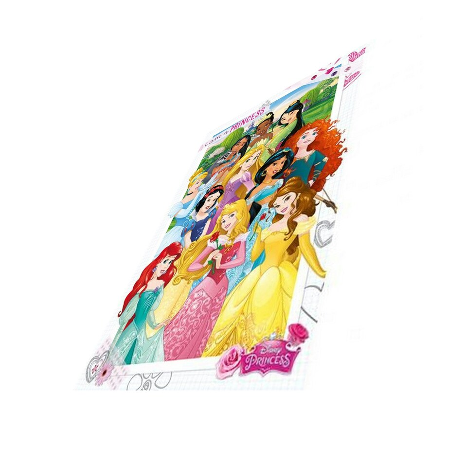 image 1 of Disney Princess Poster - Multicoloured - One Size