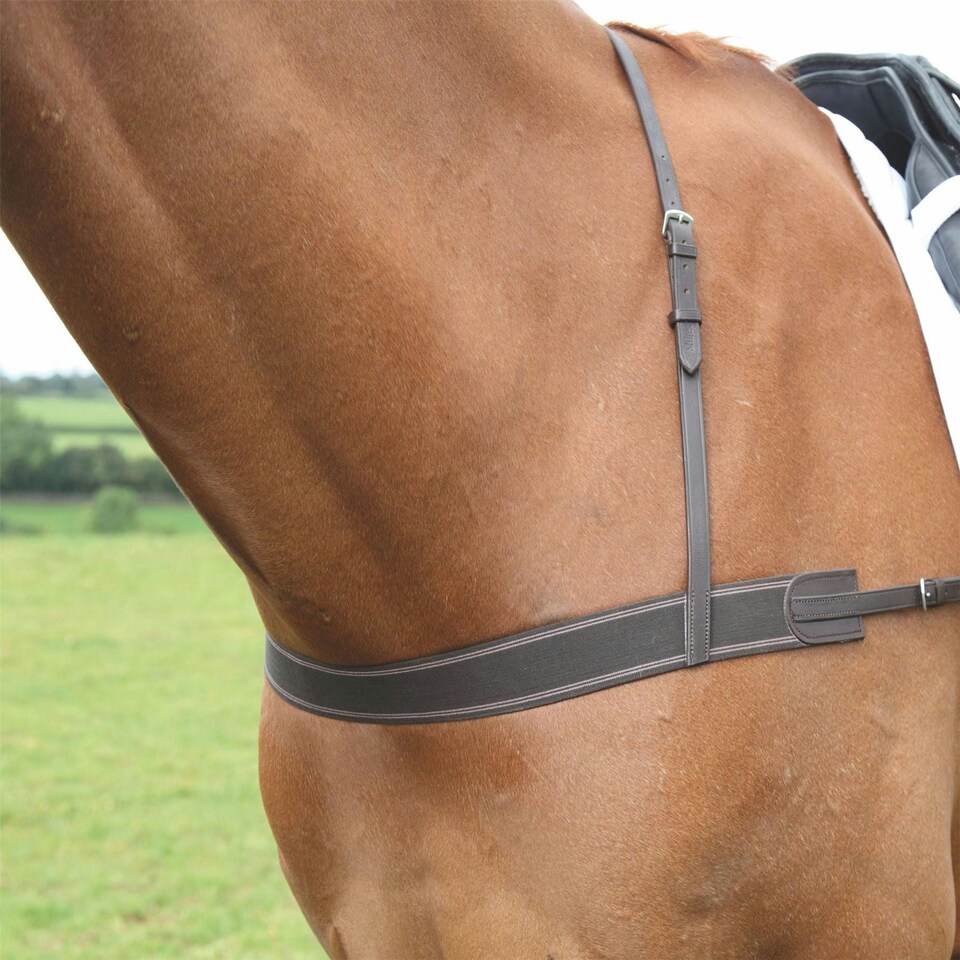 image 1 of Shires Blenheim Elastic Breastgirth Black | Size: One Size
Colour: Black