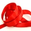 21 Poppy Red