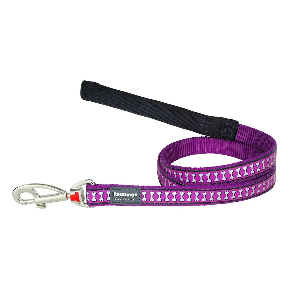 Dog Lead Reflective Bones Purple 1.2m M
