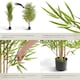 image 4 of Artificial Plant - bamboo grass, realistic look, low-maintenance | Green | green | 50 x 50 x 180 cm | 1