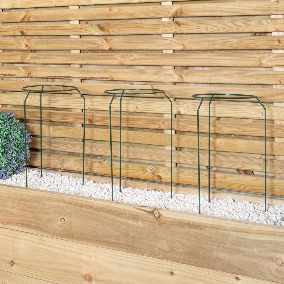 image 1 of Pack of 3 Tom Chambers Green Metal Herbaceous Garden Plant Support Rings Small