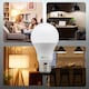 image 7 of BELL Lighting E27 LED GLS 8.1W Energy Saving Bulbs Natural White 4000K