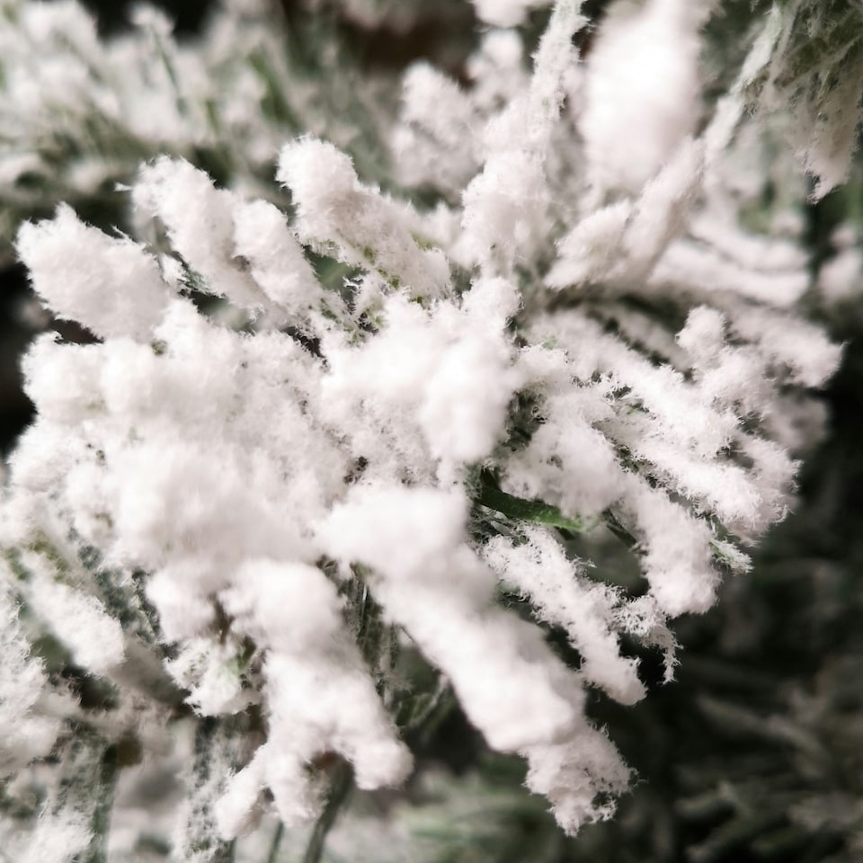 image 1 of 90cm Snowy Imperial Mini Artificial Christmas Tree