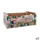 image 1 of Table Mat Confortime Paradise Wood Tropical 58 x 39 x 21 cm (3 Units) N/A