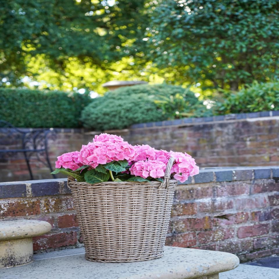 image 1 of Lined Planter - Polyrattan - L44 x W44 x H49 cm - Natural | Brown
