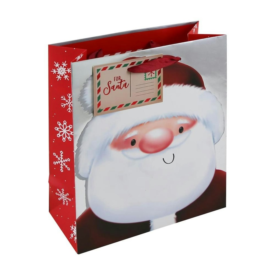 Pack of 12 Christmas Santa Foil Large Gift Bags