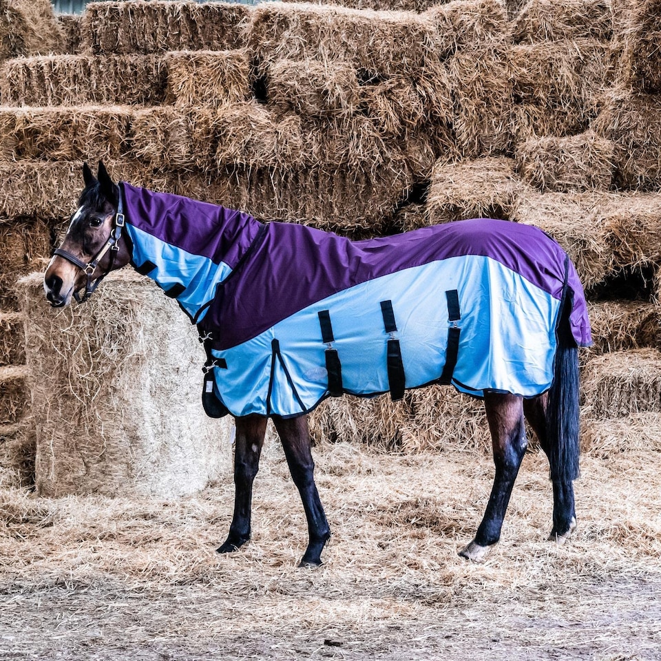 image 1 of eQuitack 600D 2 in 1 Waterproof Fly Turnout Mesh Horse Rug Fixed Neck Burgundy/Blue 6'9''