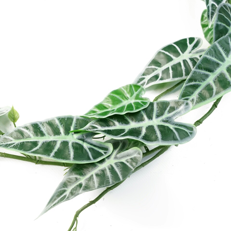 image 1 of Artificial Hanging Trailing Plant Amazonica Plant