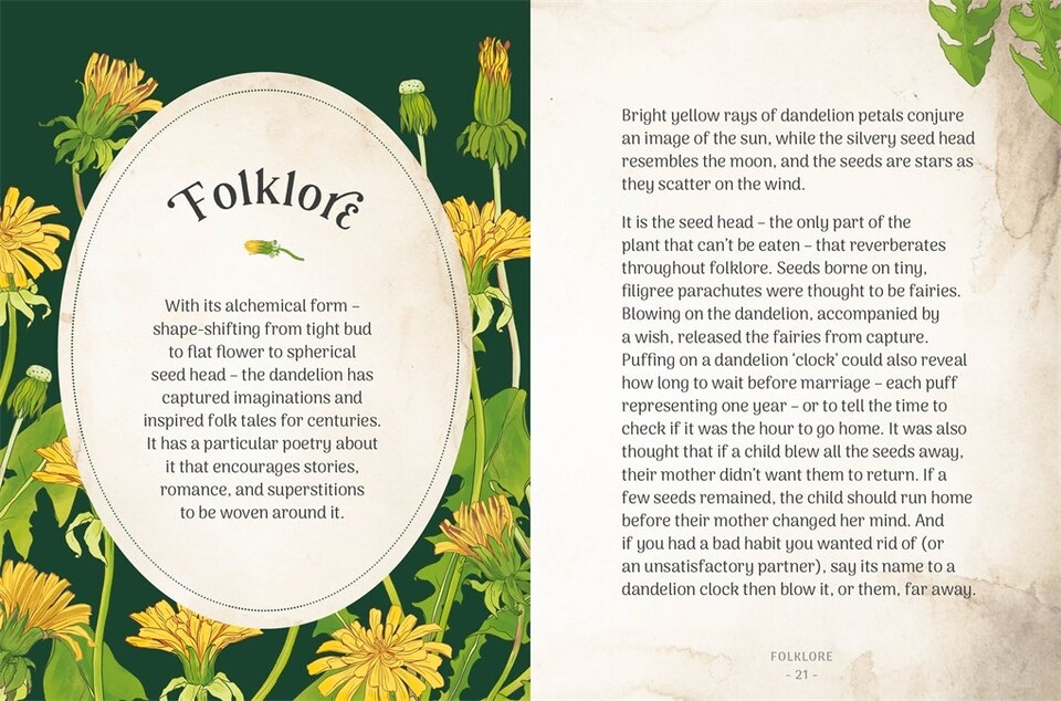 image 1 of The Little Wild Library: Dandelion