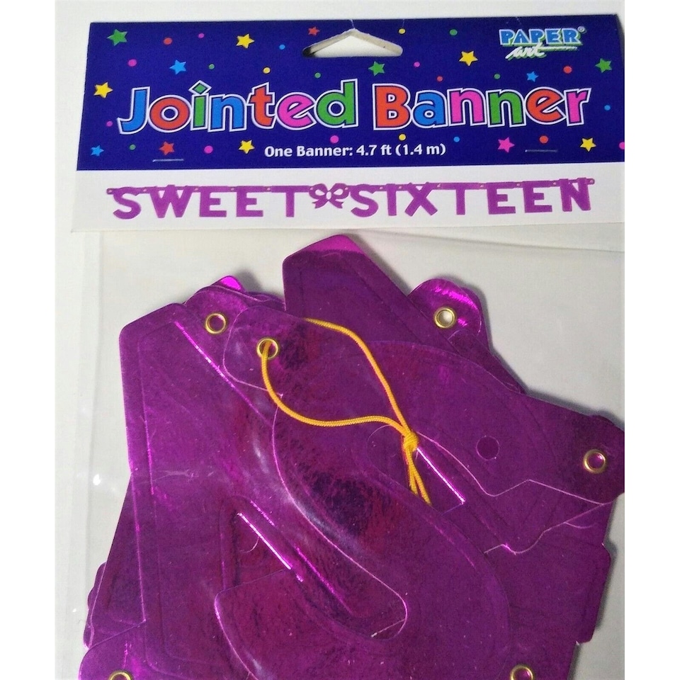 Creative Converting Sweet Sixteen Banner - Deep Pink - One Size