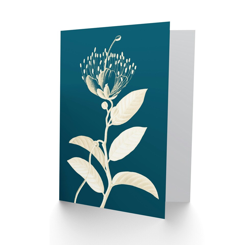 image 1 of Botanical Flower Bloom Blue Plant Lover Gardener Greeting Card