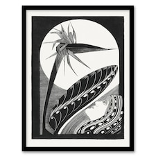 Samuel J De Mesquita Framed Wall Art Strelitzia Overblown And Full Moon
