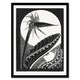 image 1 of Samuel J De Mesquita Framed Wall Art Strelitzia Overblown And Full Moon
